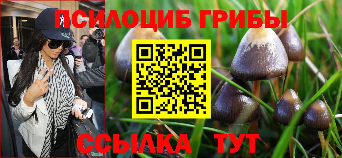 Галлюциногенные грибы мицелий  Галлюциногенные грибы Psilocybe  купить наркоту  Сегежа  Вход с VPN 
