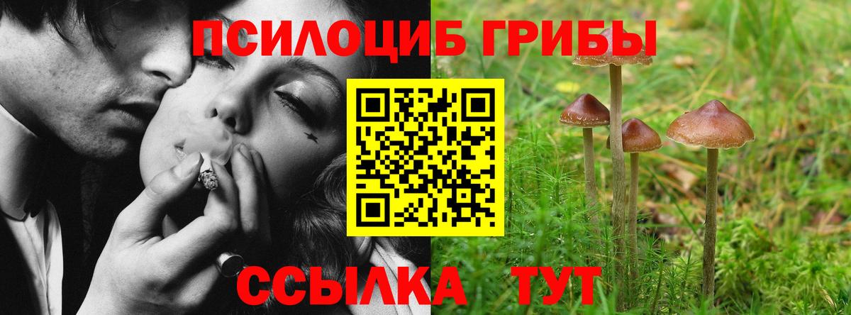 Галлюциногенные грибы MAGIC MUSHROOMS Сегежа